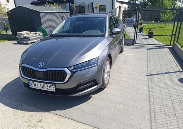 samochody osobowe Skoda Octavia cena 110000 przebieg: 8500, rok produkcji 2023 z Gościno